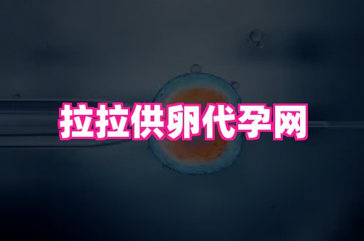 长春助孕网 1