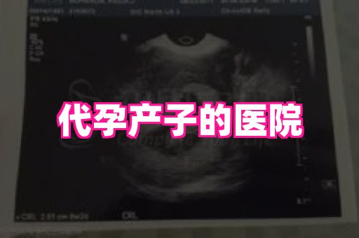 长春助孕网 4